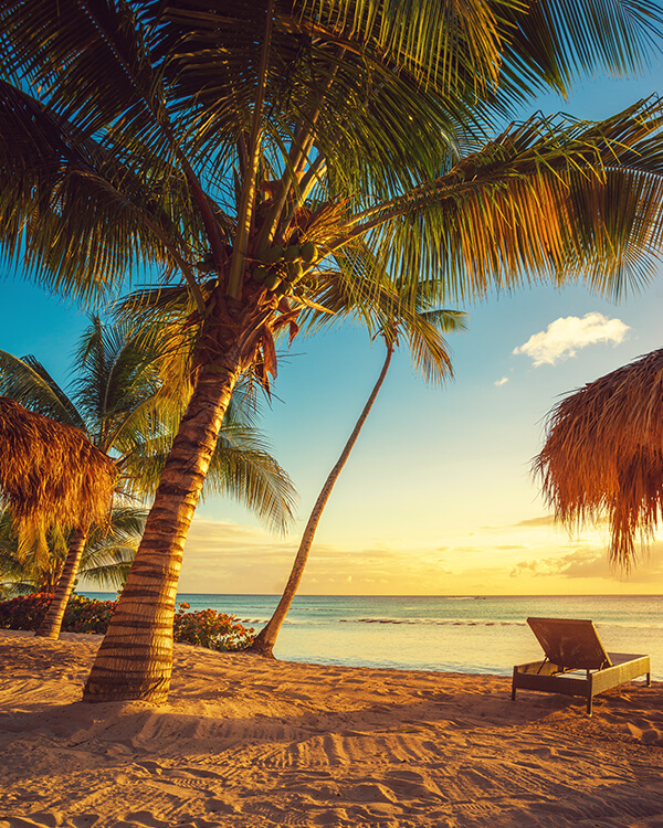 Sunset at the beach with palm trees, ocean, and a lounge chair.