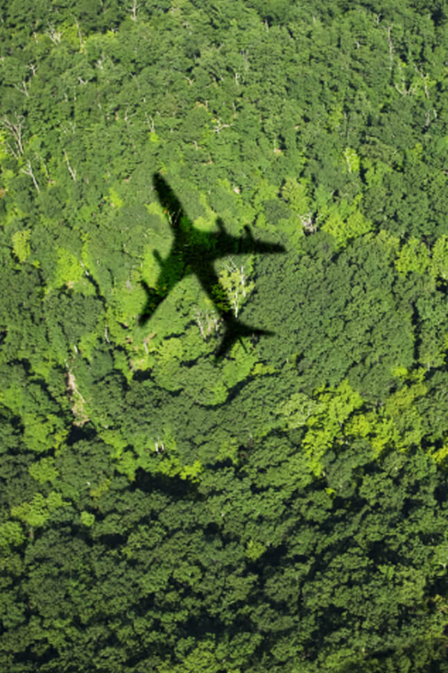 Shadow of a plane cast on the green forest below.