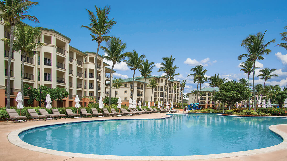 Resort pool lined with lounge chairs and palm trees