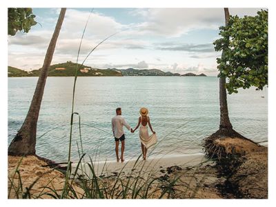 Couple holding hands looking at the mountains over the water with palm trees in the foreground.